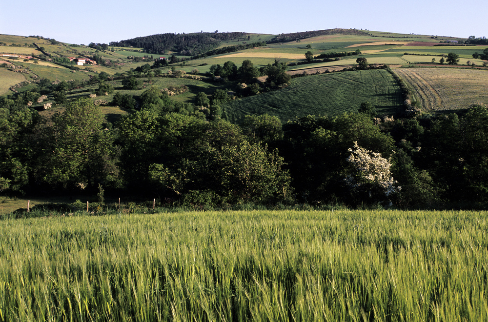 Randonnée de la Loire à l'Ardèche : le parc naturel régional du Pilat sur le tracé du GR7 - Crédit : Hemis - Guiziou Franck